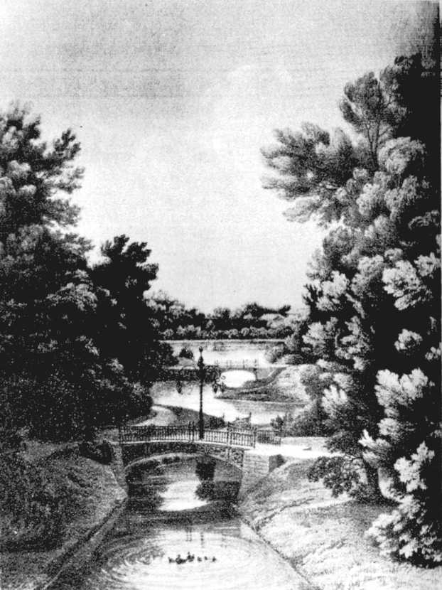  1828 .:      Ш .
   (1814 - 1886)
 . 1856 .
  